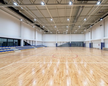 Sports fields - Apfel Arena multifunctional sports hall...